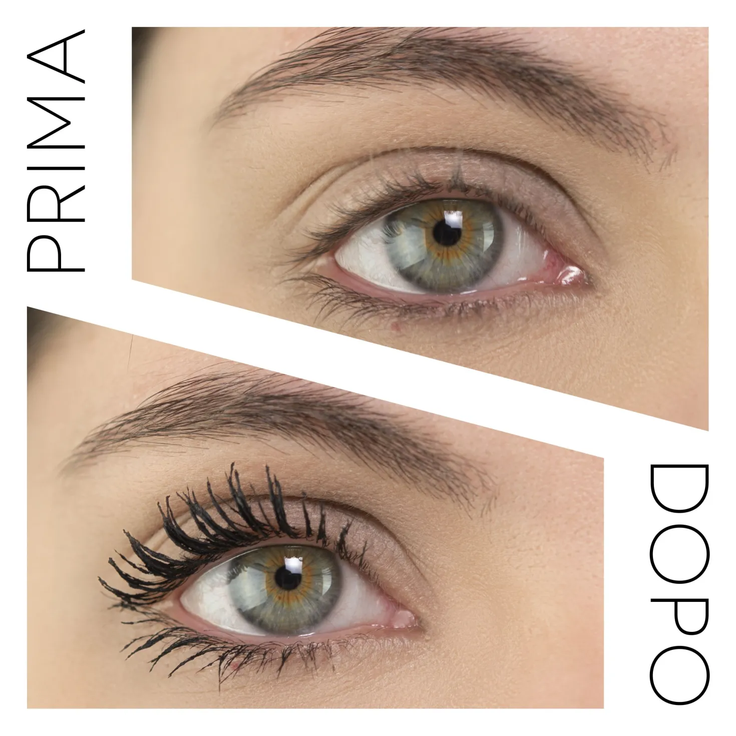 CURVY LASHES